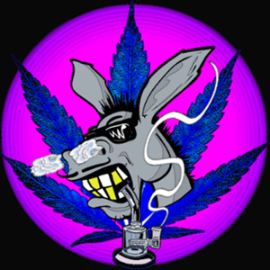 Dabbing Donkey