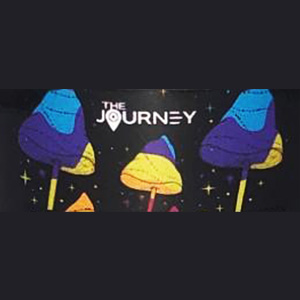 The Journey