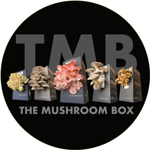The Mushroom Box