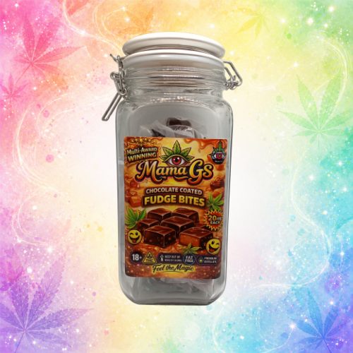 Fudge Bites Chocolate Coated.jpg