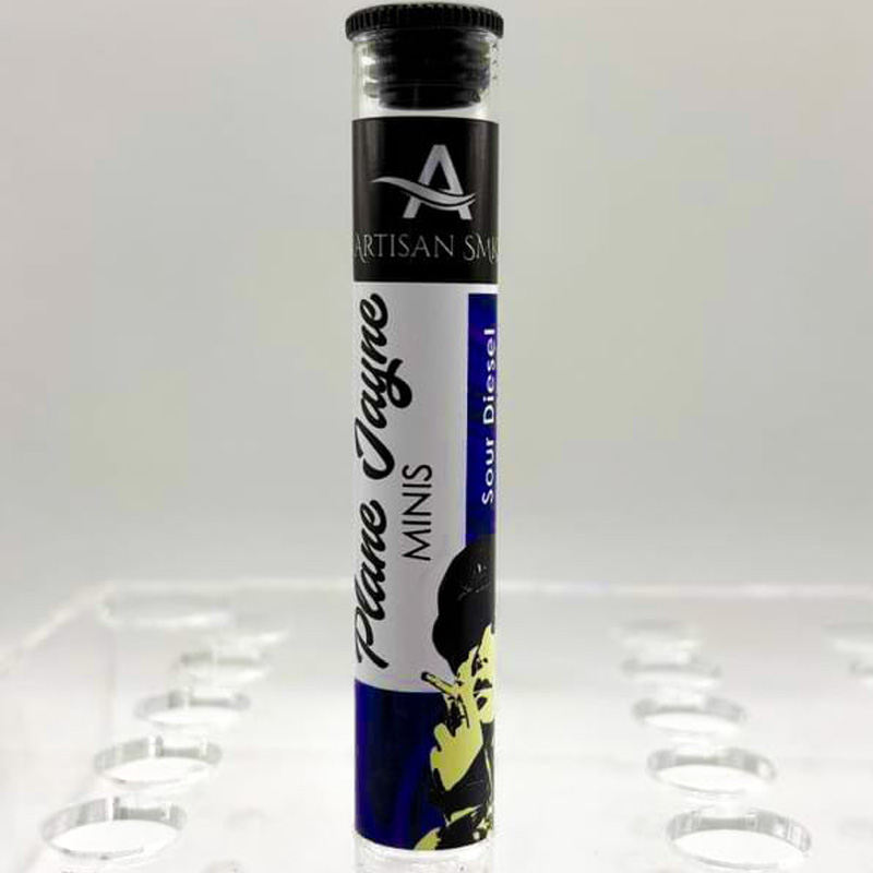 Plane Jayne main 2.jpg