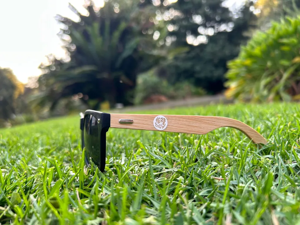 Sunglasses 3.webp