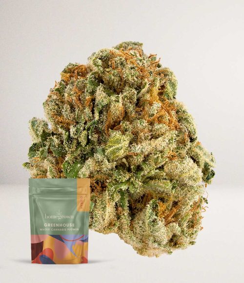 HG_Sour_Diesel_A_Sativa-500x579.jpg