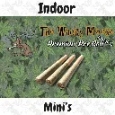 WM Mini's.webp
