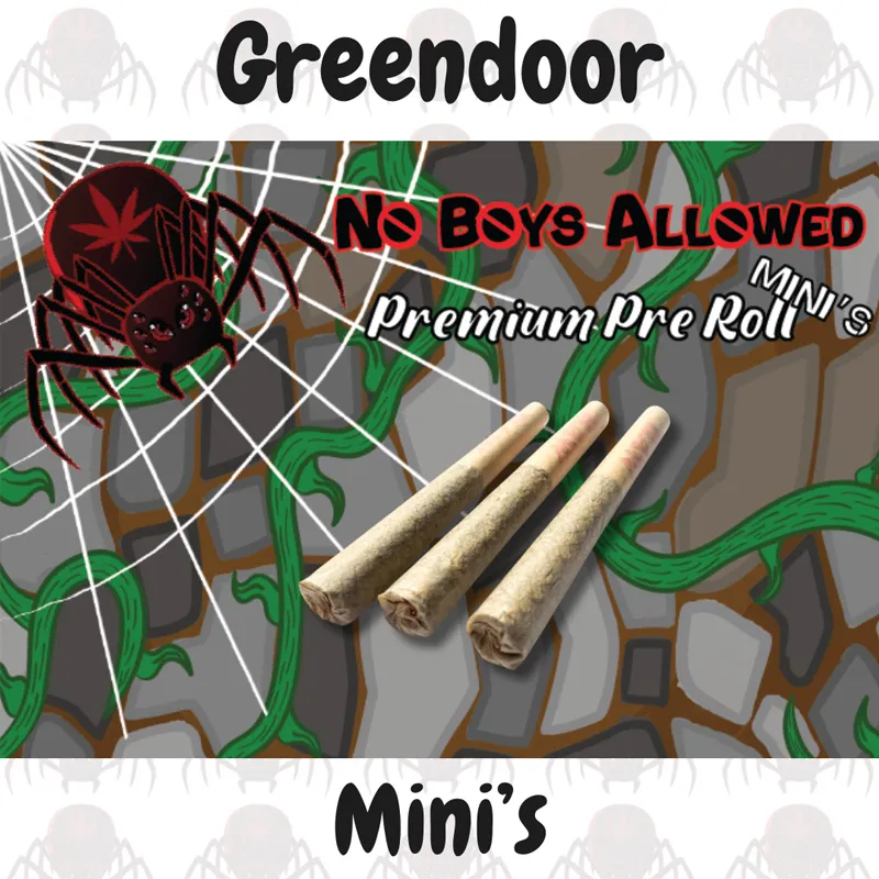 NBA Mini's.webp