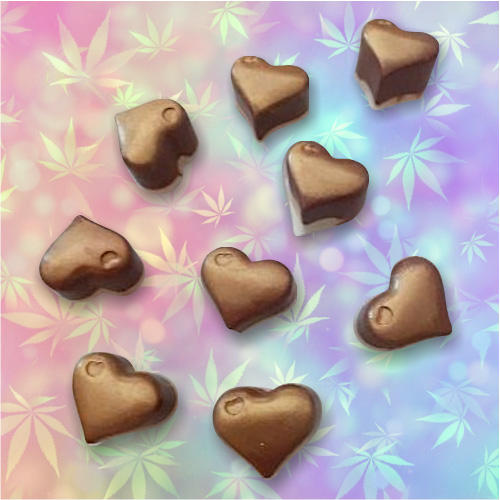Canna Chocolates 20mg - Unfilled (Pack of 10) (Dark Chocolate)