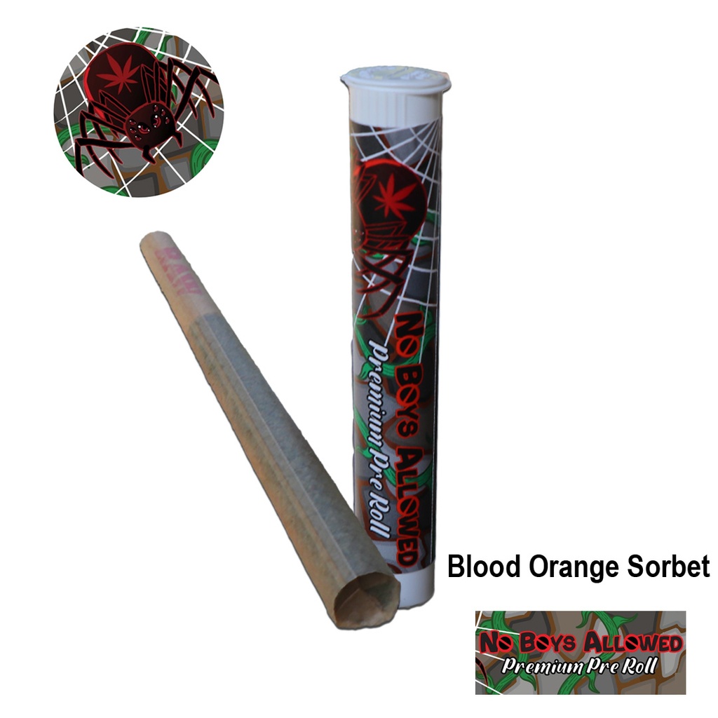 No Boys Allowed Premium Greendoor Pre-Rolls - Blood Orange Sorbet (Hybrid)