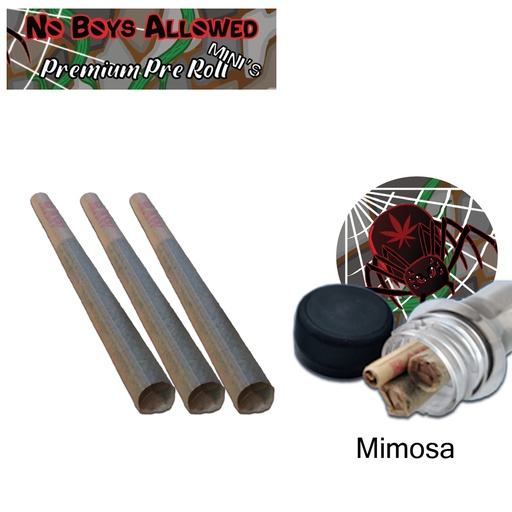 No Boys Allowed Premium Pre-Rolls - Mini's - Greendoor - Mimosa (Sativa) 3's
