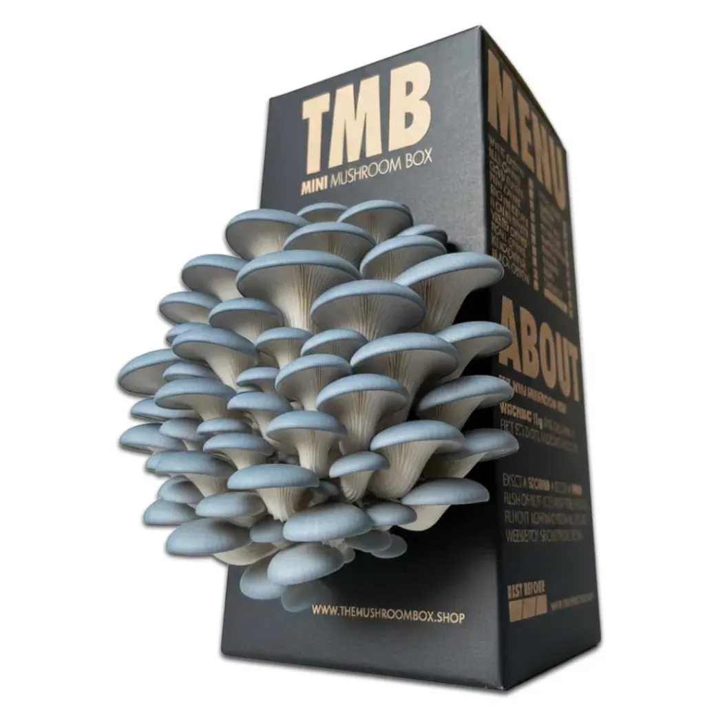 Mushroom Grow Box - Blue Oyster Mushrooms