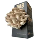 Mushroom Grow Box - King Oyster Mushrooms