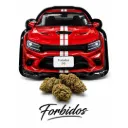 Premium Indoor Flower 1g - Forbidos (Indica)