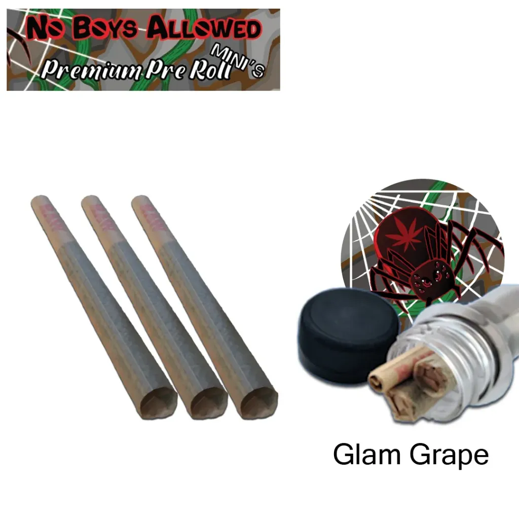 No Boys Allowed Premium Pre-Rolls - Mini's - Greendoor - Glam Grape (Indica) 3's