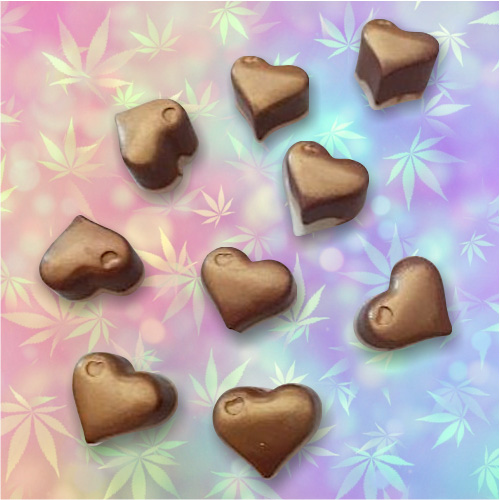 Canna Chocolates 20mg - Unfilled (Pack of 10)