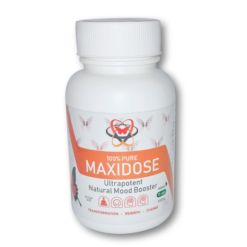 Wellness Warrior Maxidose 500mg 15's