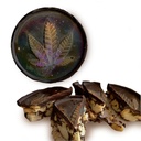 Peanut Clusters (Pack of 10)