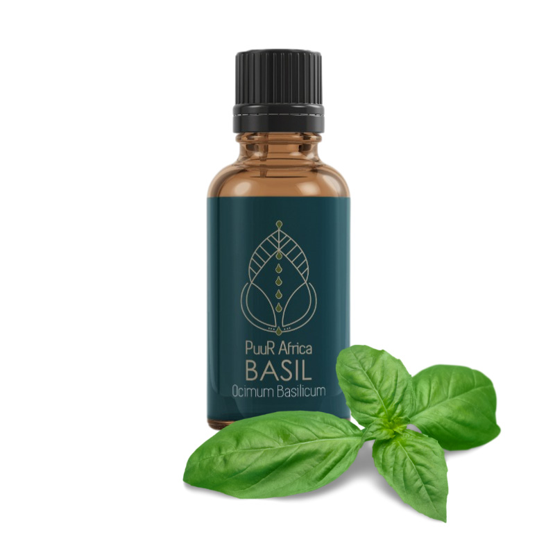 Essential Oils - Basil 10ml