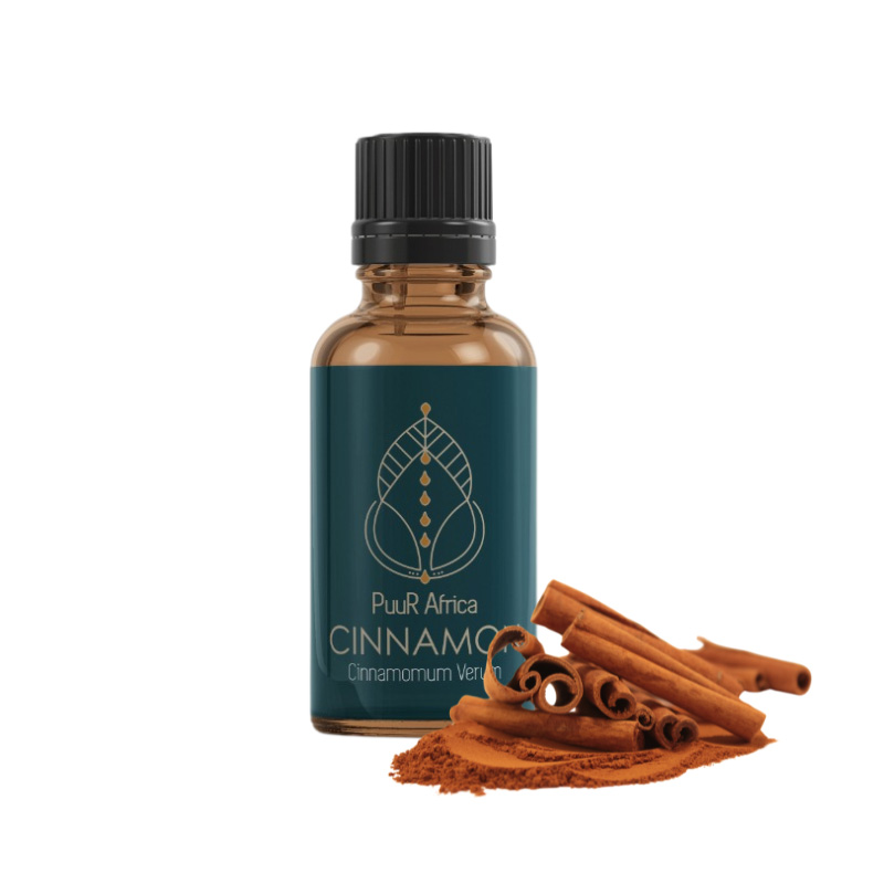 Essential Oils - Cinnamon 10ml