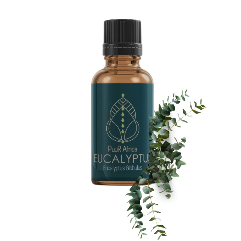 Essential Oils - Eucalyptus 10ml | Cannamart