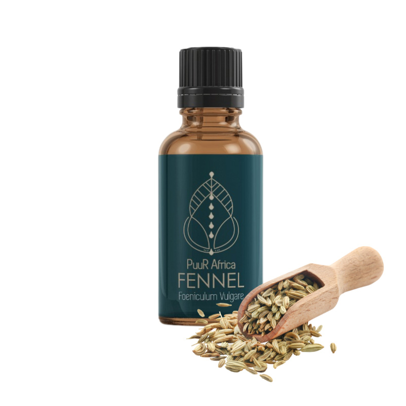 Essential Oils - Fennel 10ml