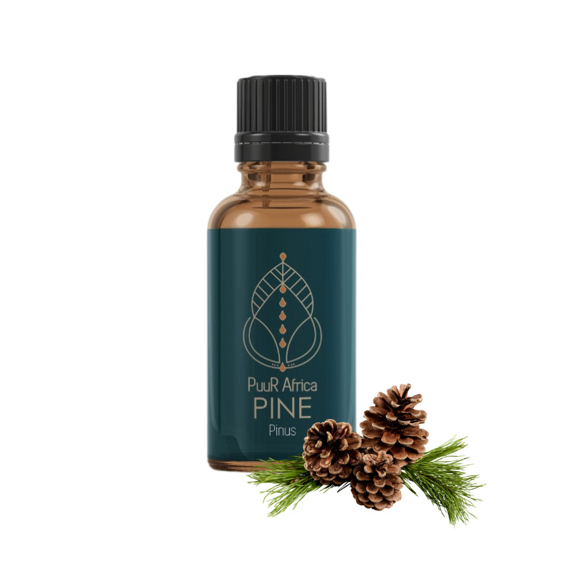 Essential Oils - Pine 10ml