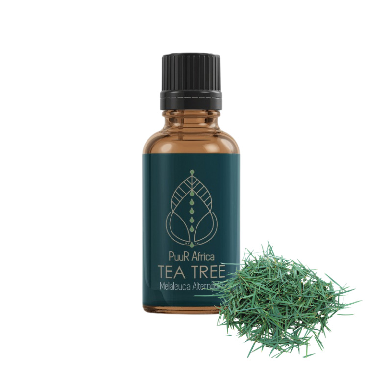 Essential Oils - Tea Tree 10ml