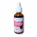 Raw Earth Organics Chaga 600mg (50ml)