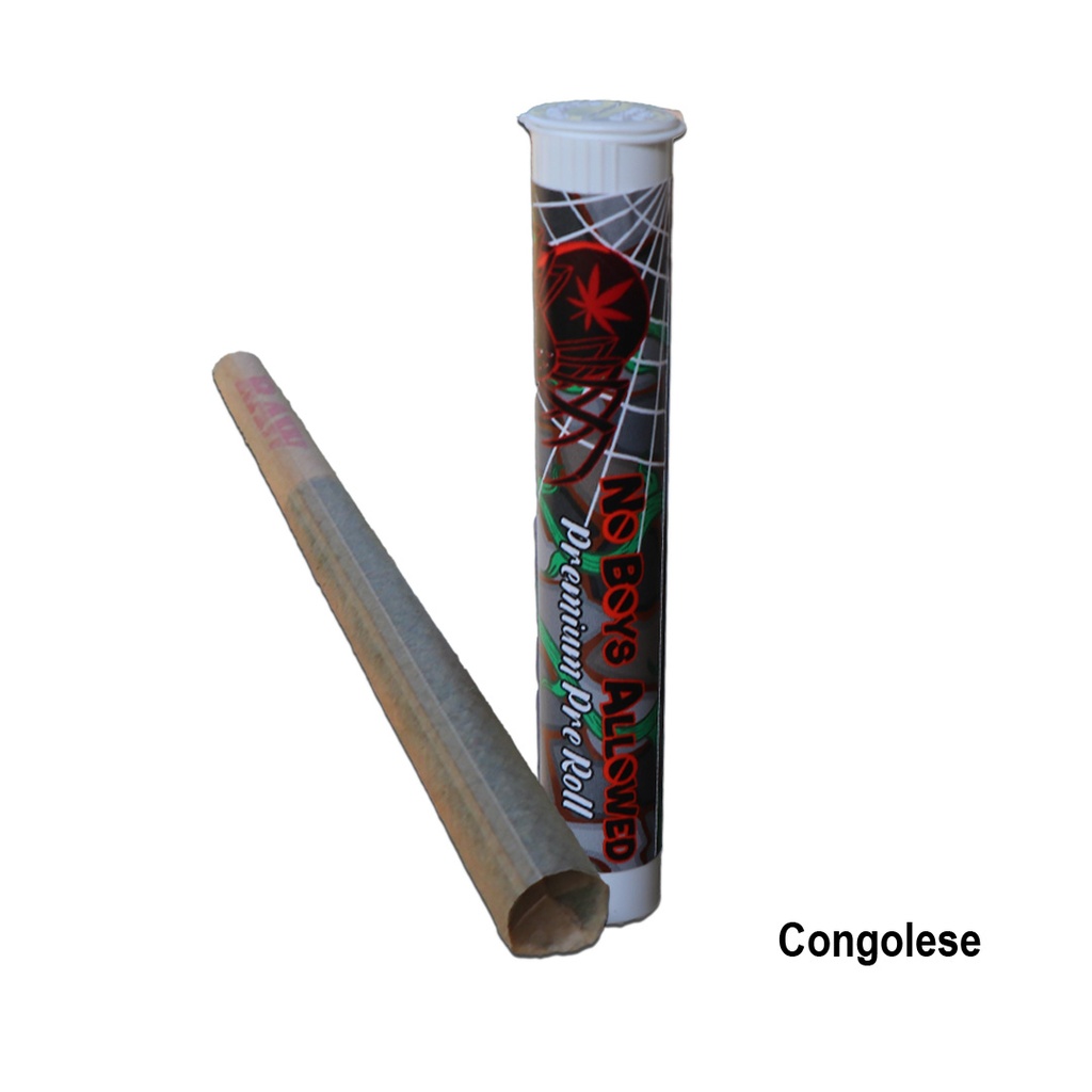 No Boys Allowed Premium Indoor Pre-Rolls - Congolese