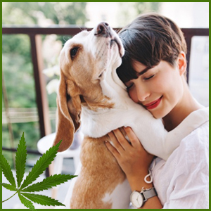 Pet Care