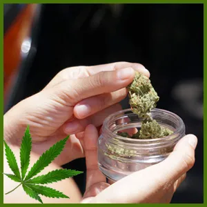 Bud (Flower)