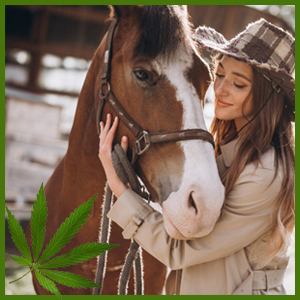 Horses