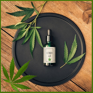 CBD Oil
