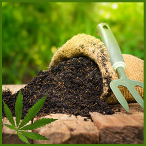Grow & Accessories