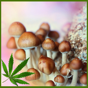 Psilocybin