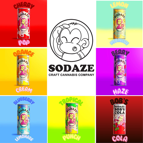 Sodaze Infused Craft Soda 250ml | CannaMart