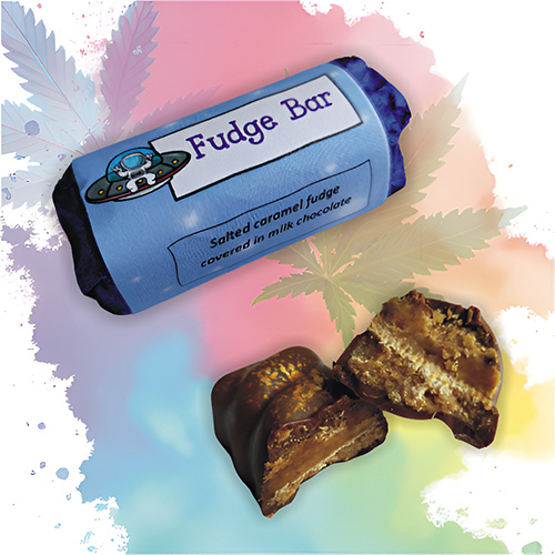 Fudge Bar (Pack of 10)