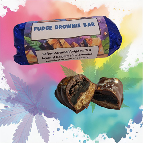 Fudge Brownie Bar (Pack of 10)