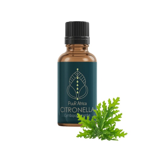 Essential Oils - Citronella 10ml