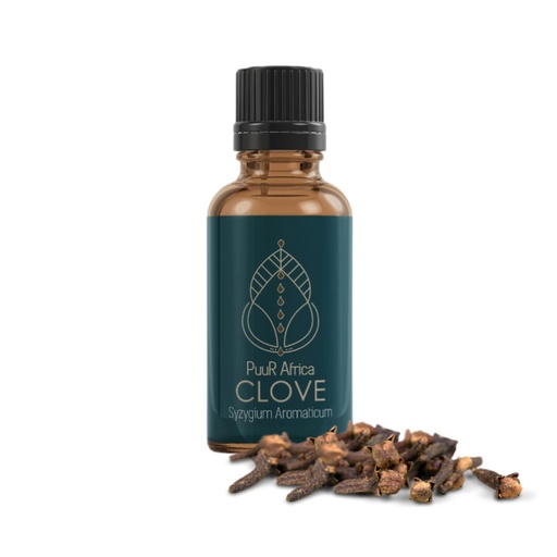 Essential Oils - Clove 10ml