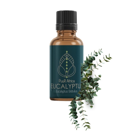 Essential Oils - Eucalyptus 10ml