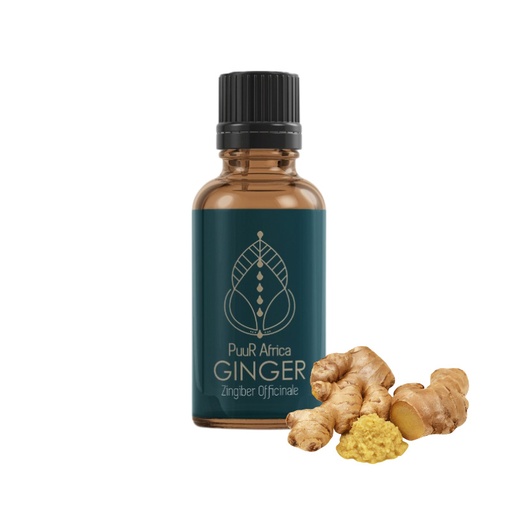 Essential Oils - Ginger 10ml