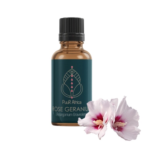 Essential Oils - Rose Geranium 10ml