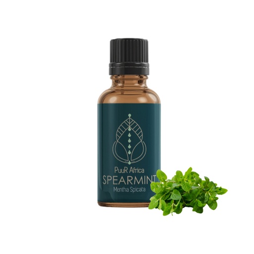 Essential Oils - Spearmint 10ml