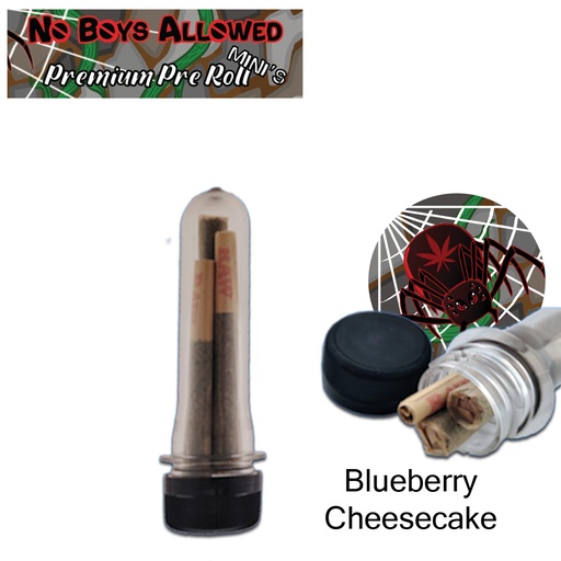 No Boys Allowed Premium Pre-Rolls - Mini's - Greendoor - Blueberry Cheesecake (Indica) 3's