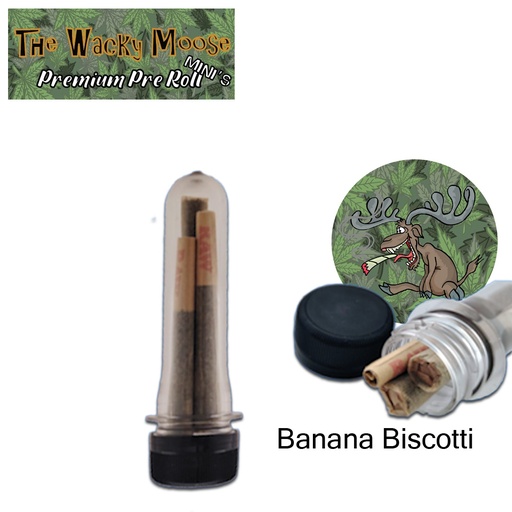 Wacky Moose Premium Pre-Rolls - Mini's - Indoor - Banana Biscotti (Hybrid) 3's